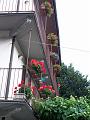 2008-07-29 08-34-16